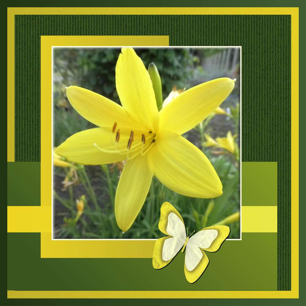 253-MERVEILLEUSE NATURE