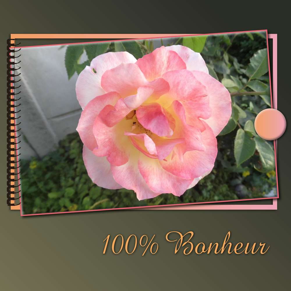 255-100% BONHEUR