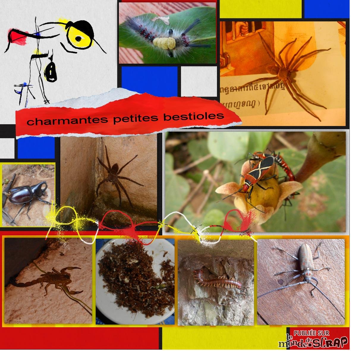 26 -insectes .jpg