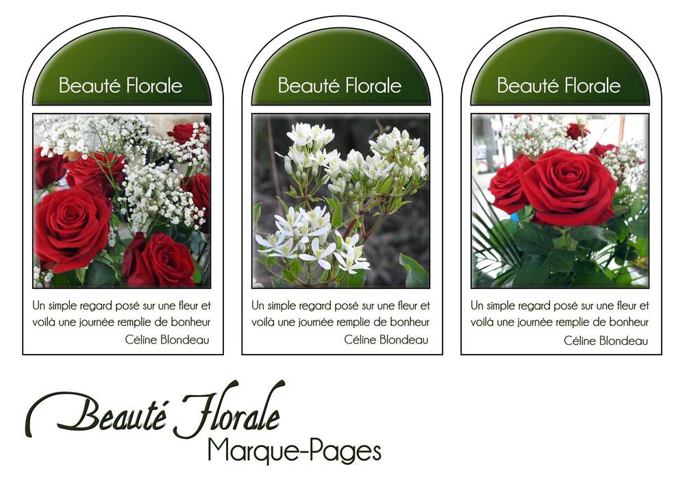 26-MARQUE-PAGES - BEAUTE FLORALE