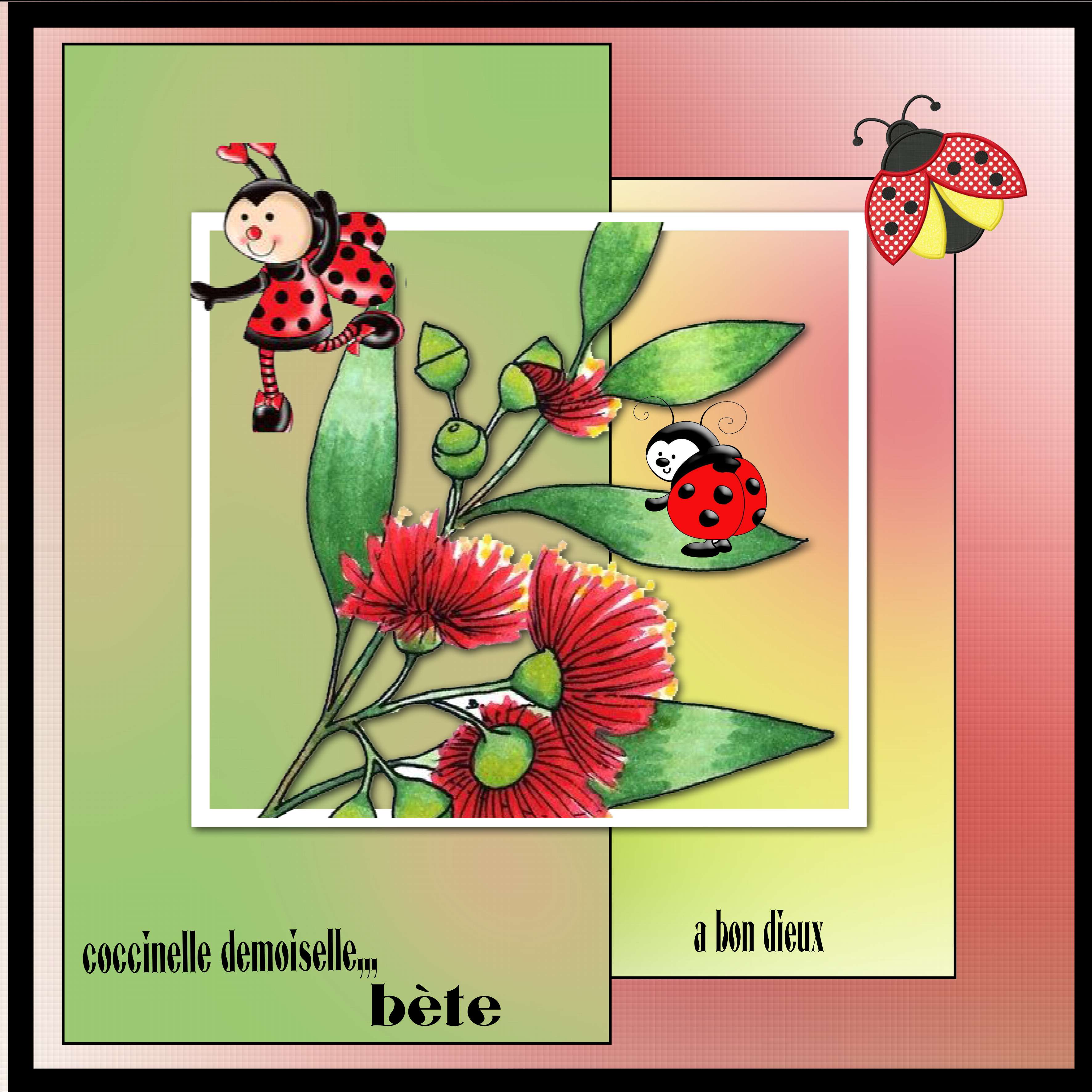 26 octobre insecte pas top.jpg