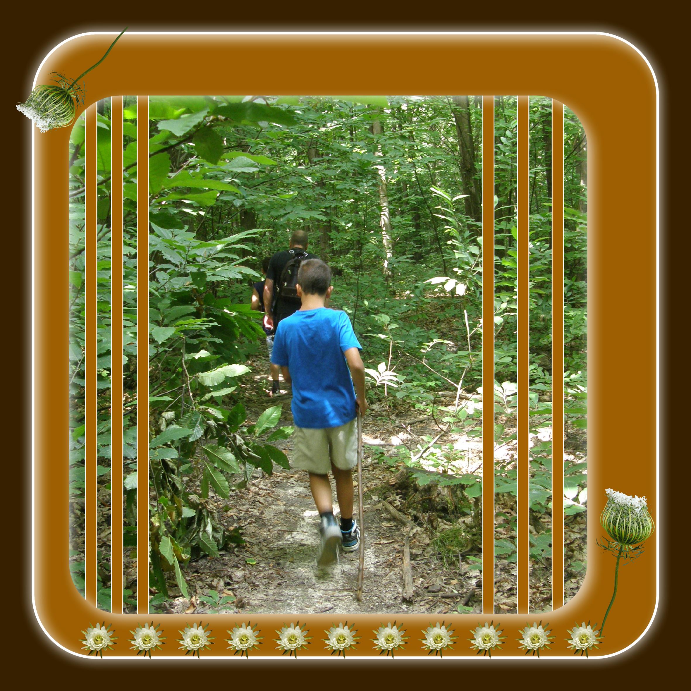 26 Promenade en Forêt.jpg