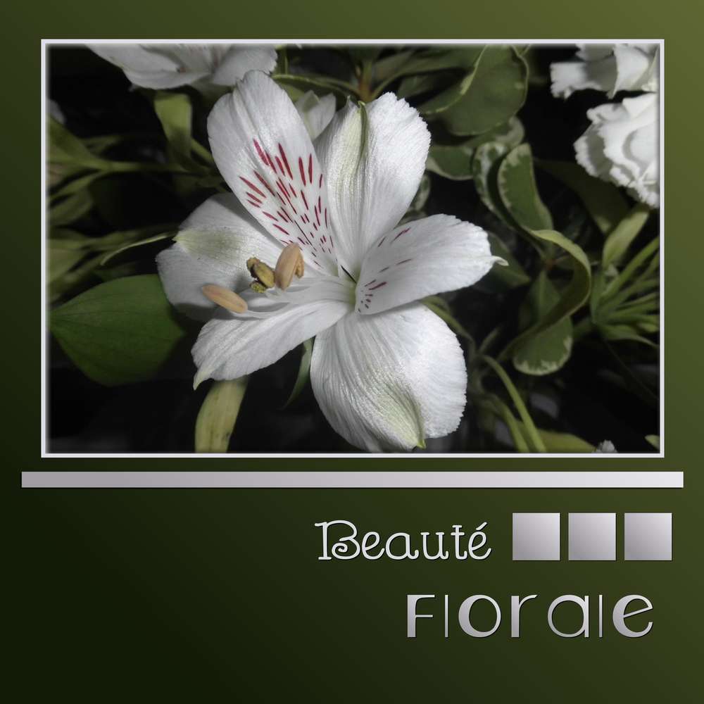 261-BEAUTE FLORALE