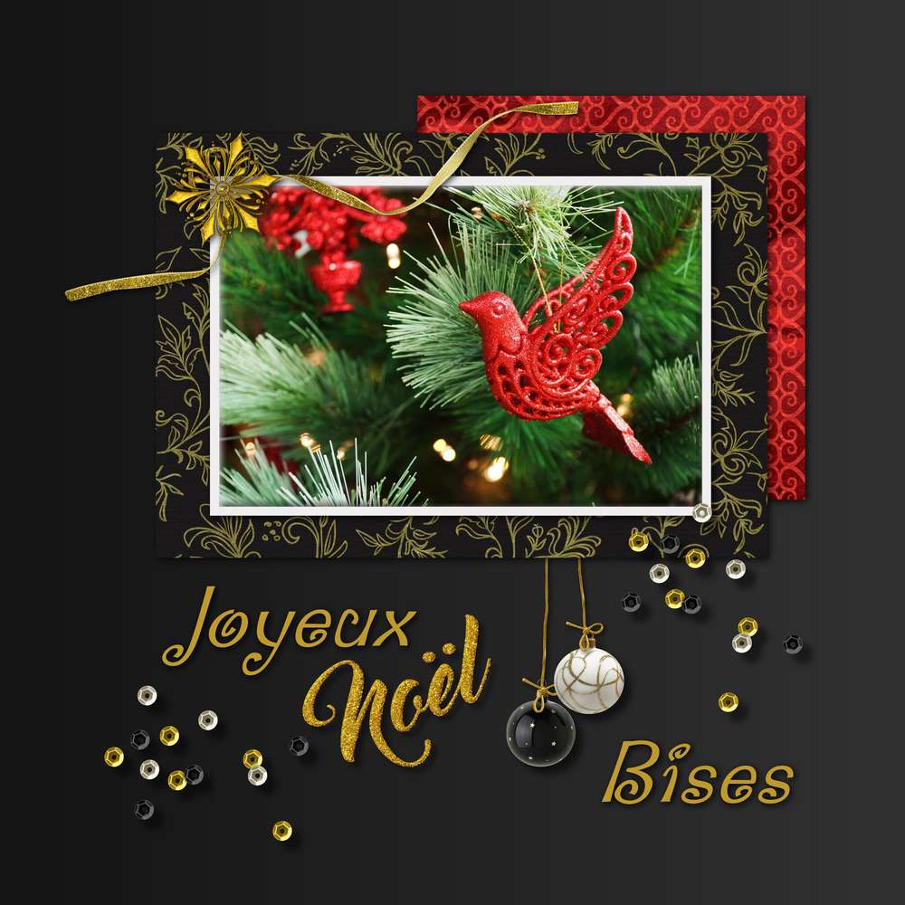 263-JOYEUX NOEL - BISES