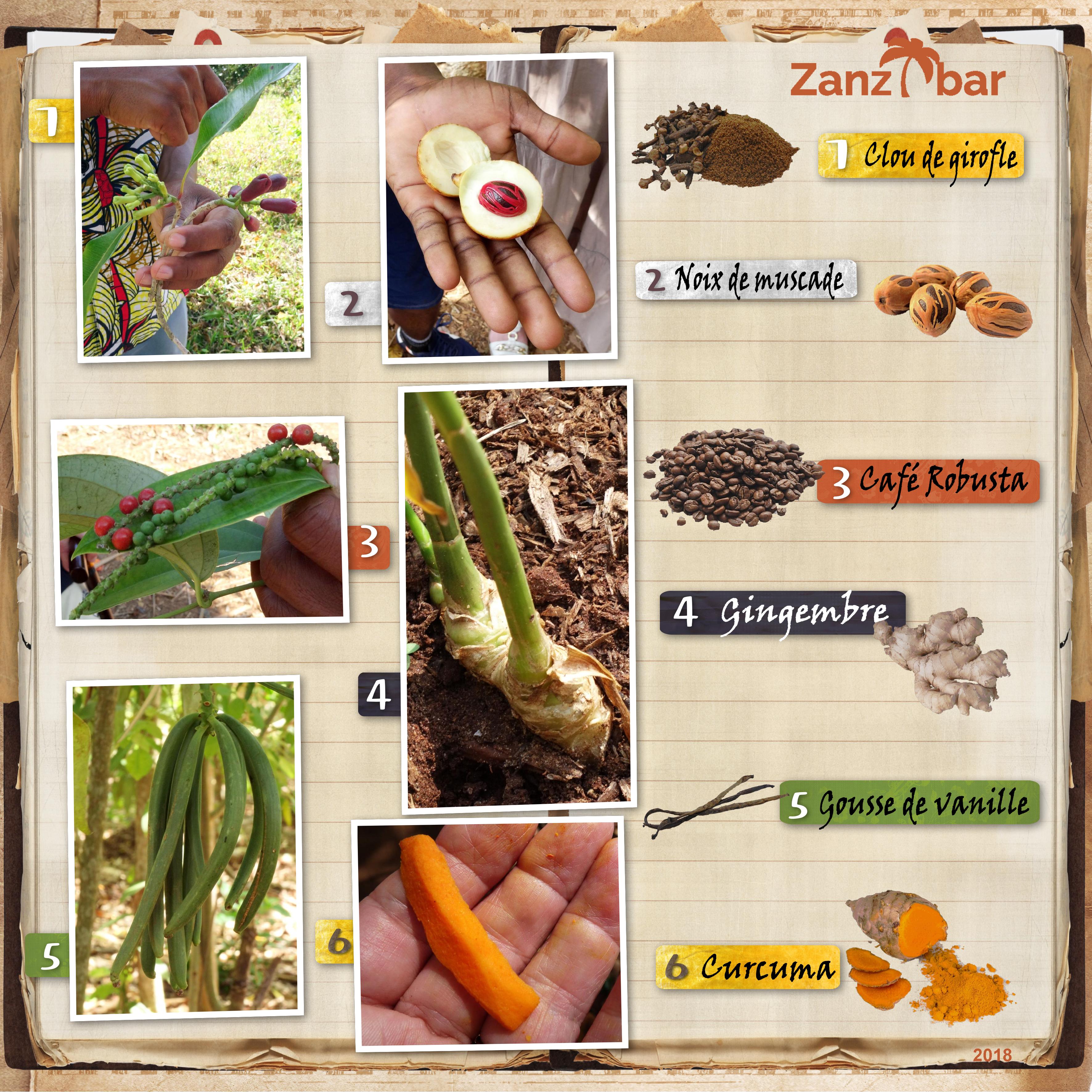 27 Epices.jpg