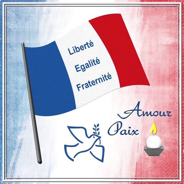 27 NOVEMBRE 2015 - HOMMAGE NATIONALE