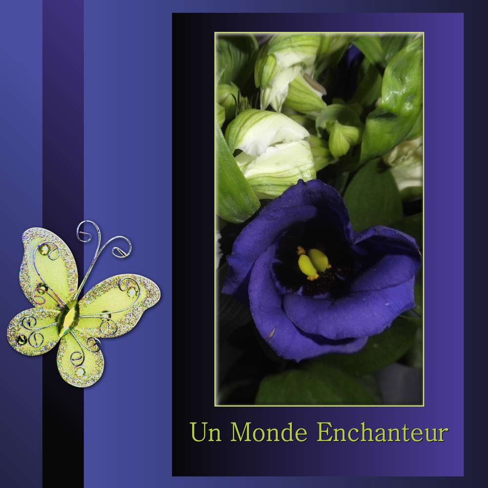 270-UN MONDE ENCHANTEUR