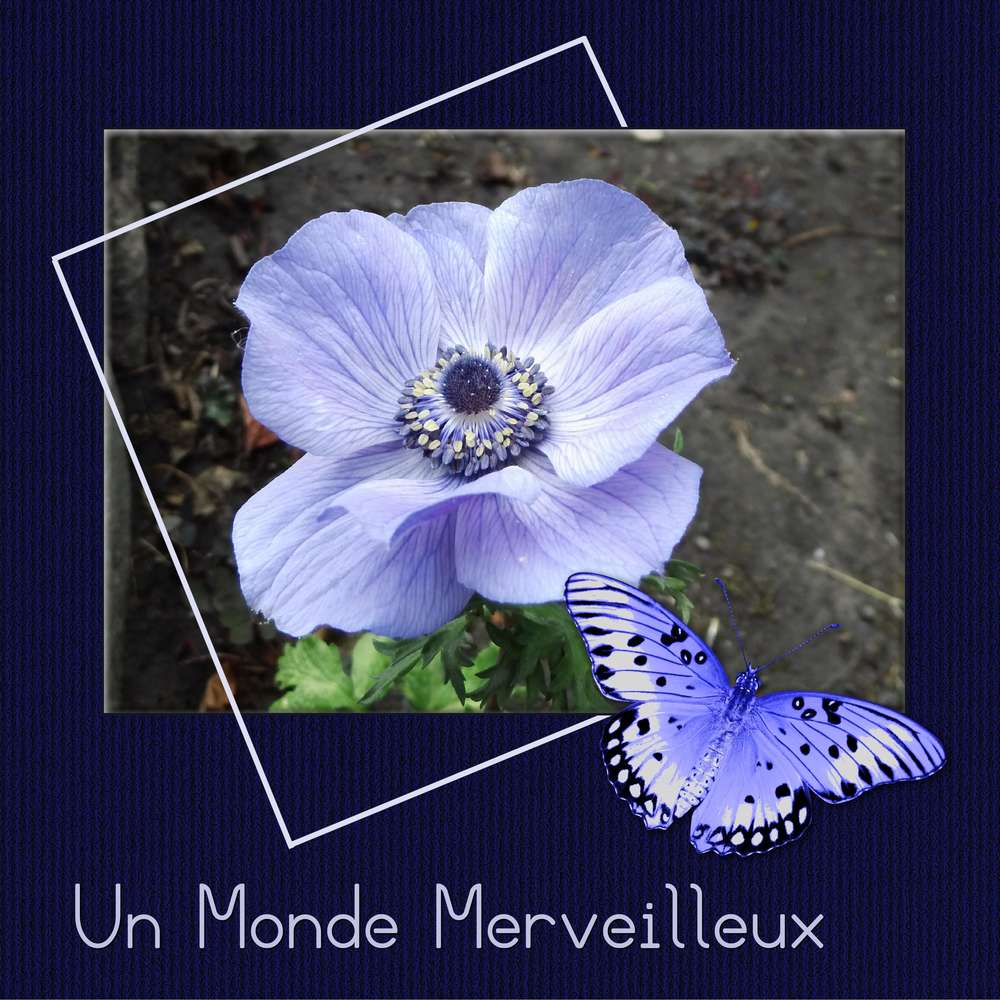 275-UN MONDE MERVEILLEUX