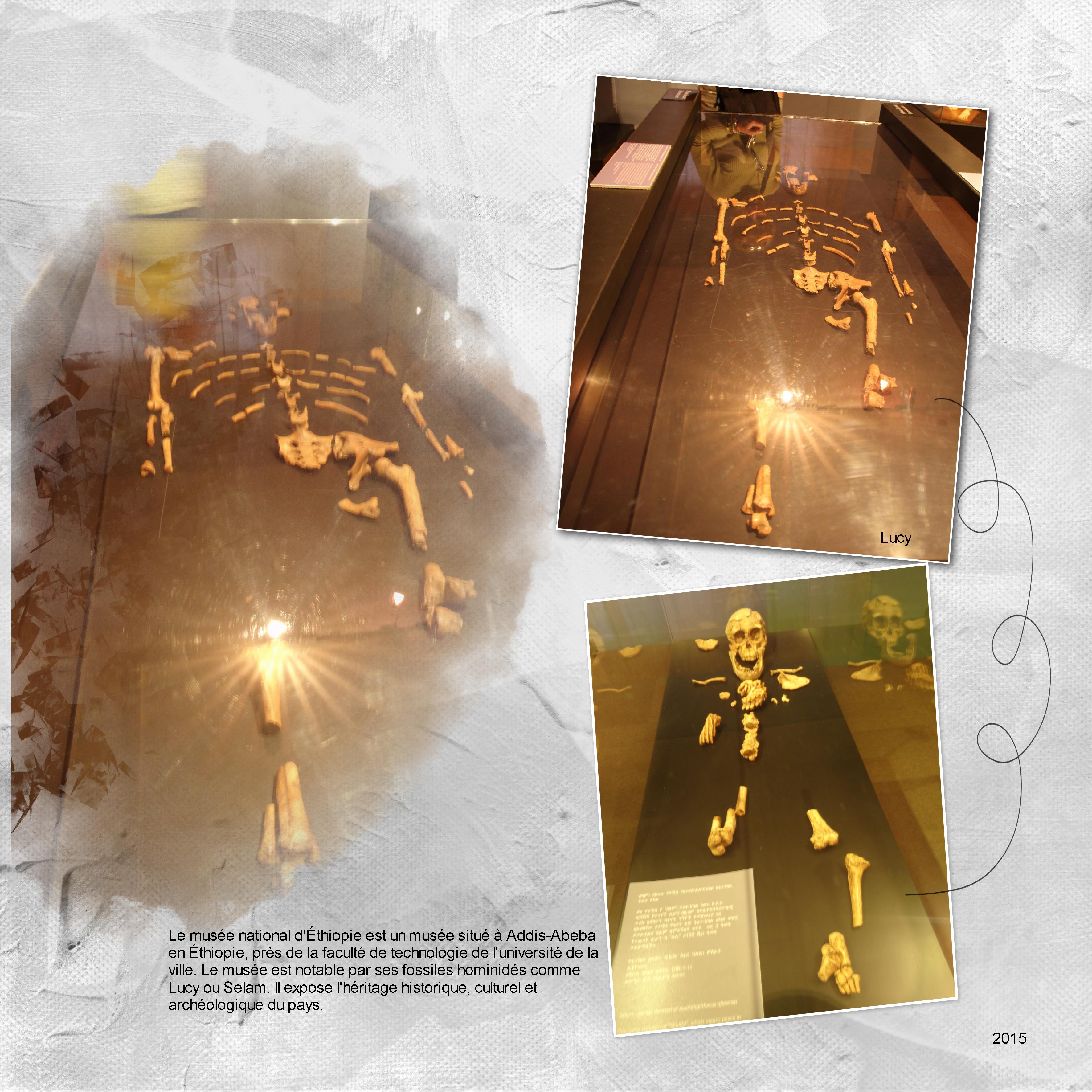 28 10 2025 Ancêtre.jpg