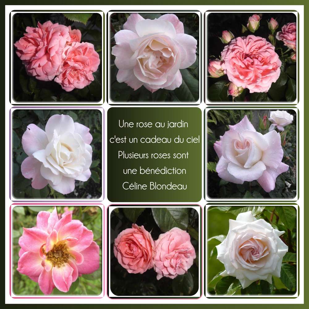 28-CADEAU - LE SCRAPTOBER : CHALLENGE DU MOIS D'OCTOBRE