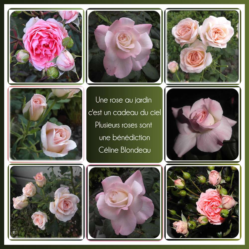 28-CADEAU - LE SCRAPTOBER : CHALLENGE DU MOIS D'OCTOBRE