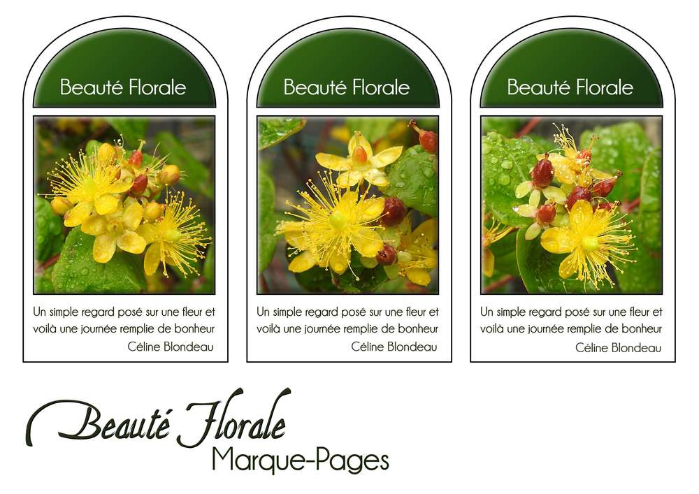 28-MARQUE-PAGES - BEAUTE FLORALE