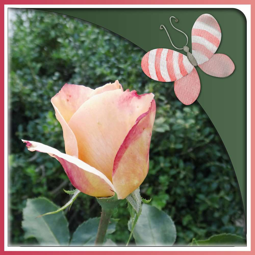 285-LA CLEF DU BONHEUR