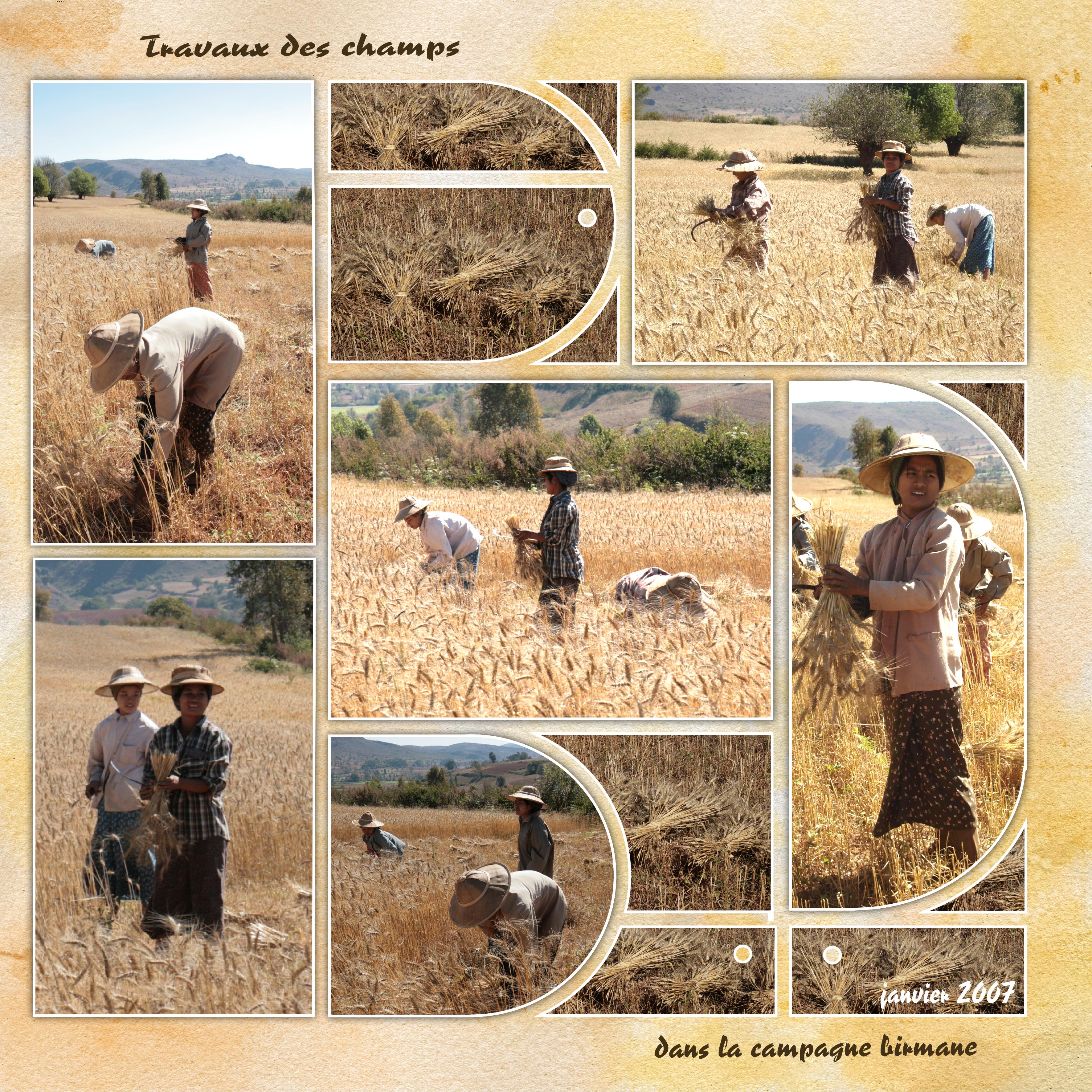 29 10 2021 Campagne.jpg