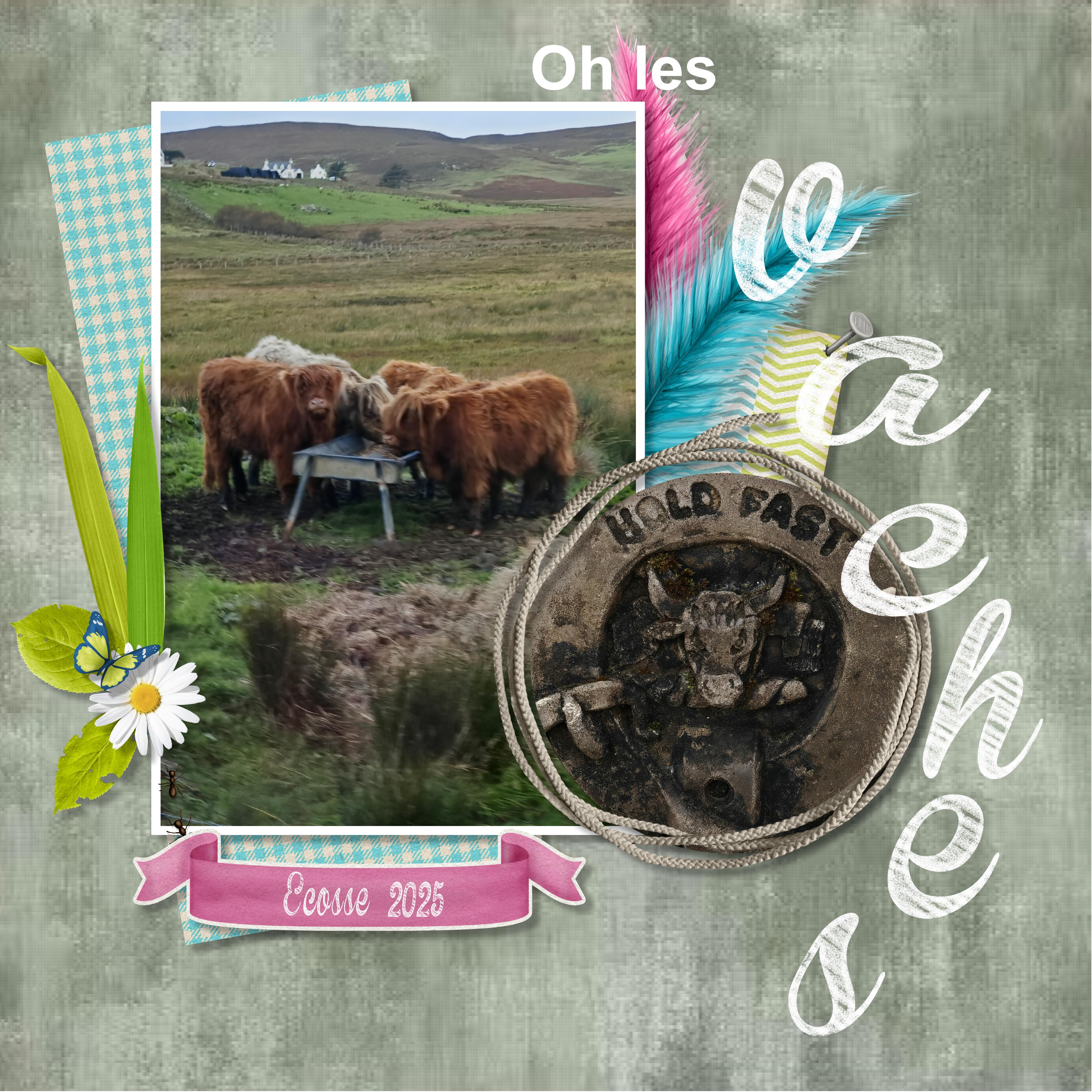 29 10 2026 Vache (page 3).jpg