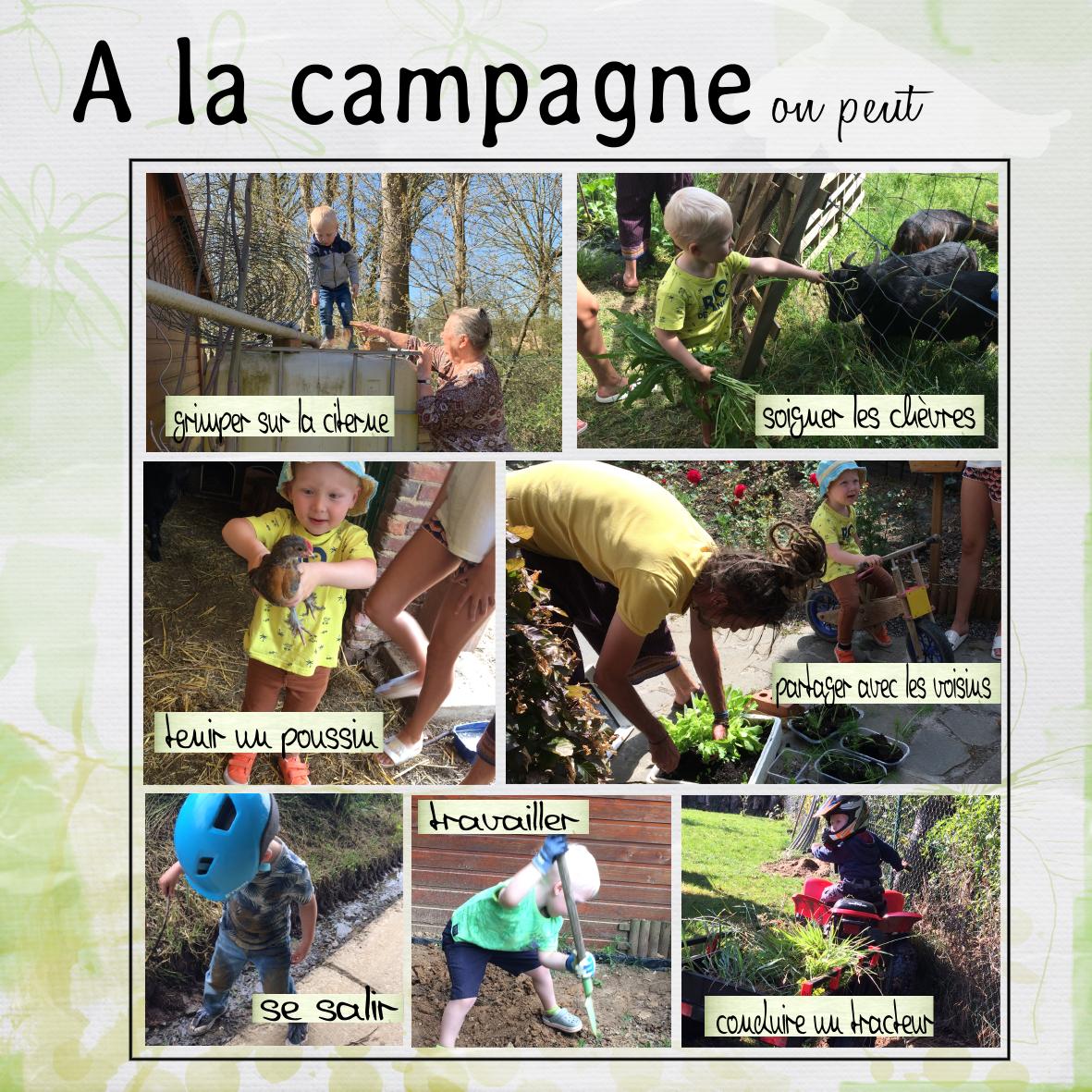 29 - campagne.jpg