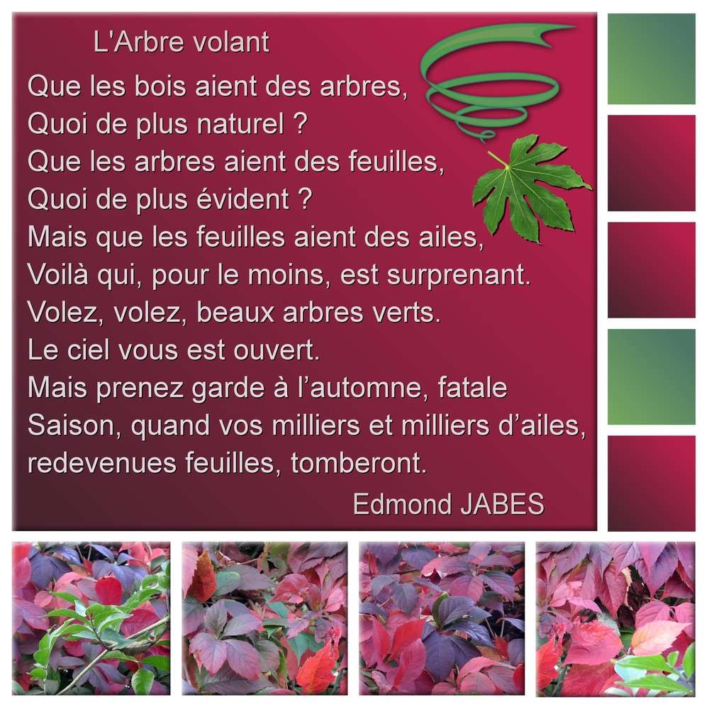 29-POESIE - LE SCRAPTOBER : CHALLENGE DU MOIS D'OCTOBRE