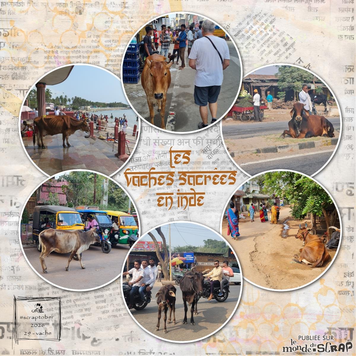 #29 Vaches - Scraptober 2026