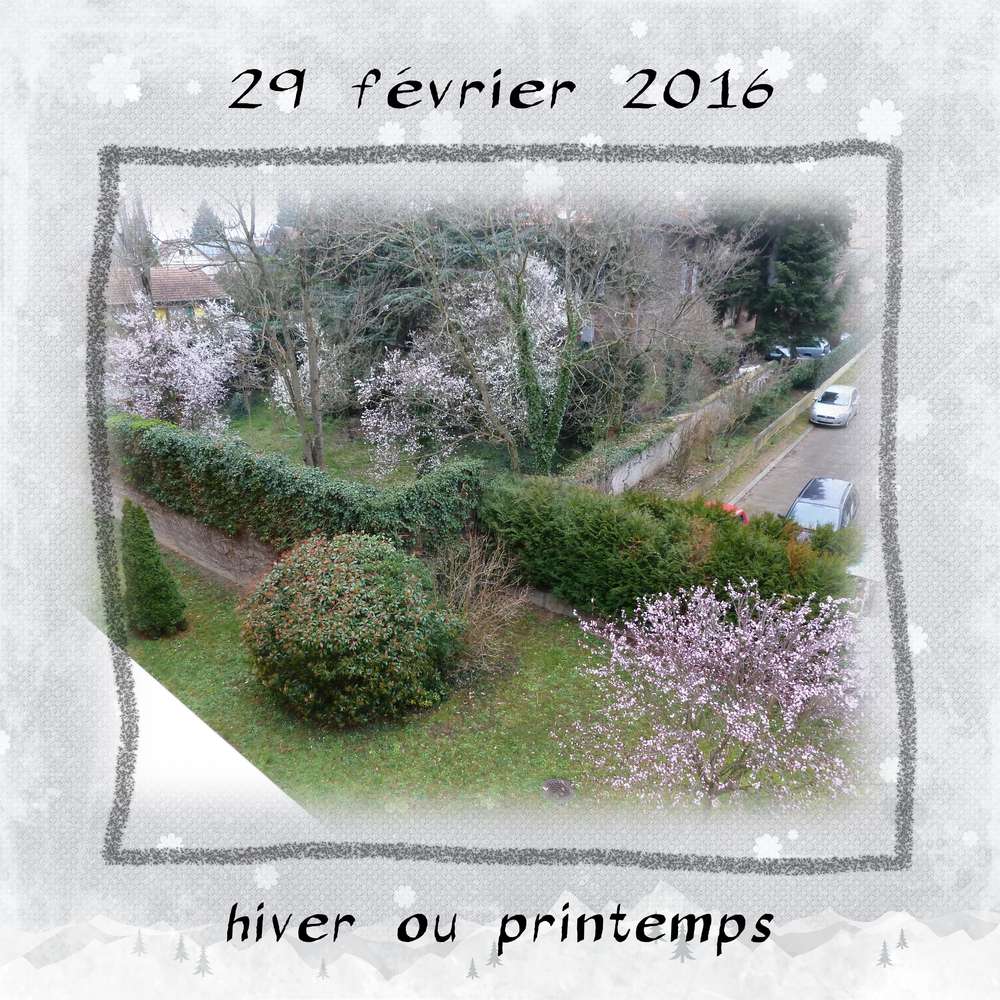 29_f__vrier_2016