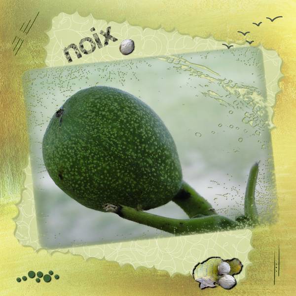 2e page défi  semaine 9 - vert - Laurette