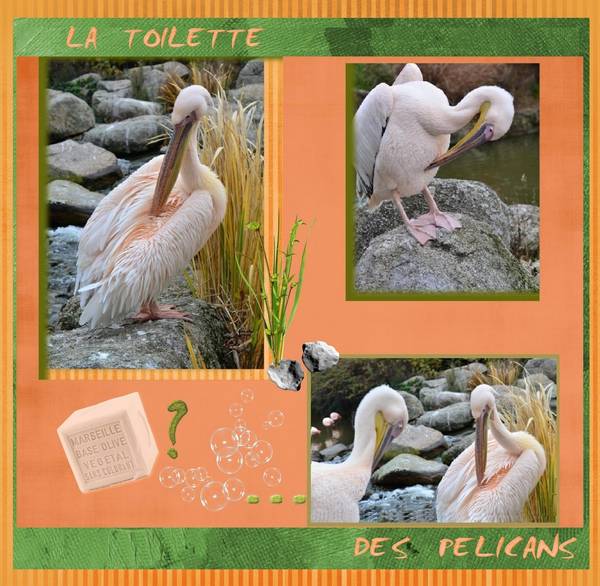 2ème essai règle de 3 de Mamyrose raté