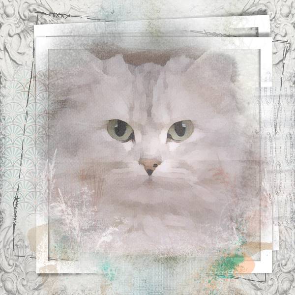 2eme essai studio scrap 7