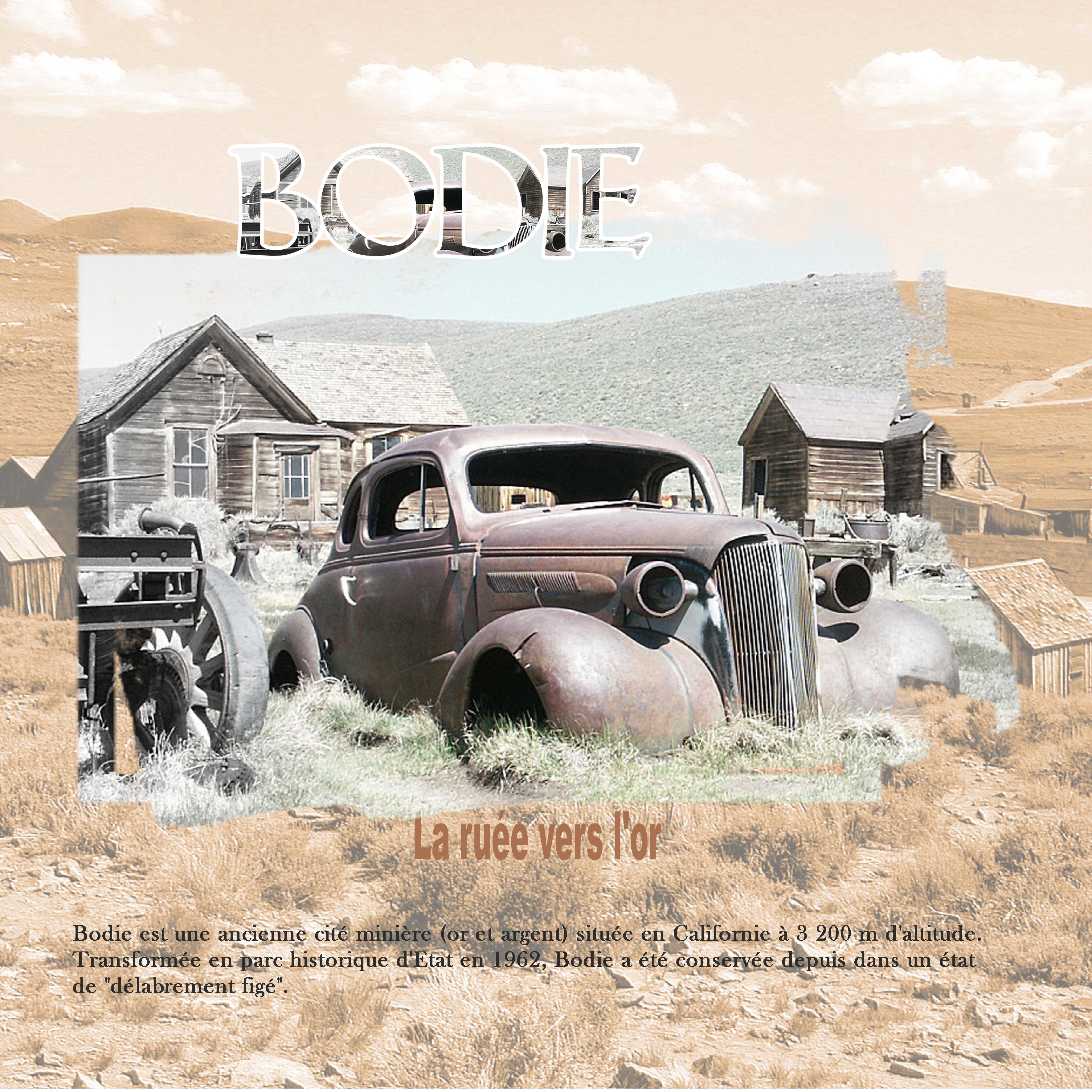 3 10 2022 Véhicule.jpg