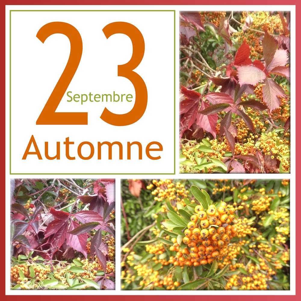 3-AUTOMNE