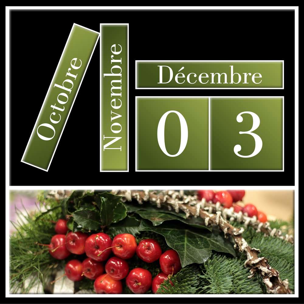3-CALENDRIER DE L'AVENT - 3 DECEMBRE