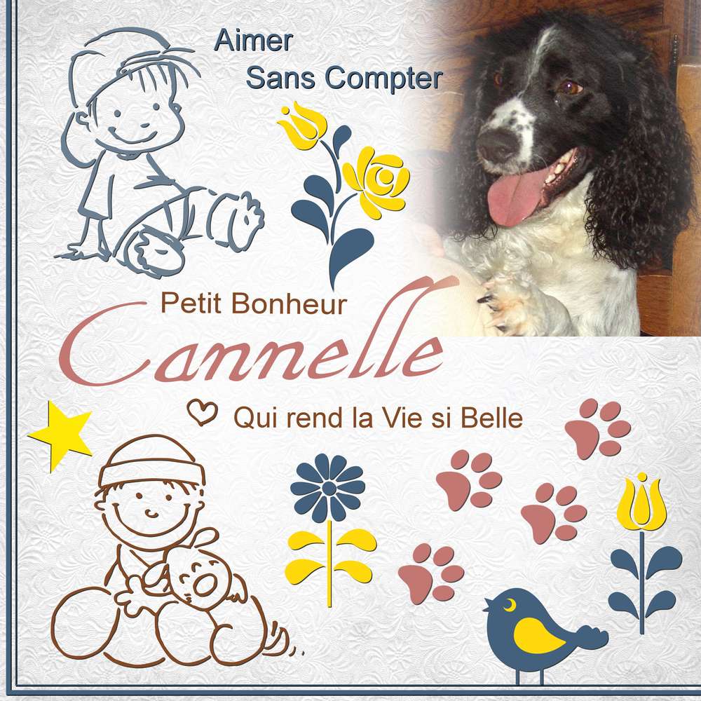 3-CANNELLE PETIT BONHEUR