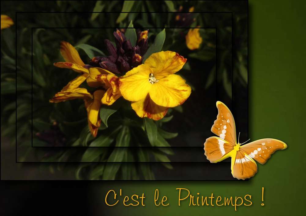 3-C'EST LE PRINTEMPS