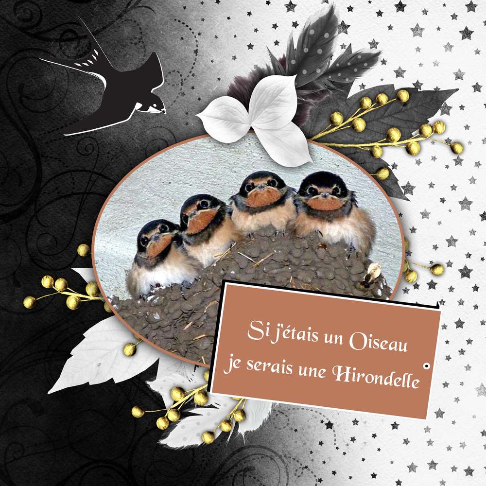 3-CHALLENGE PRINTEMPS - OISEAU