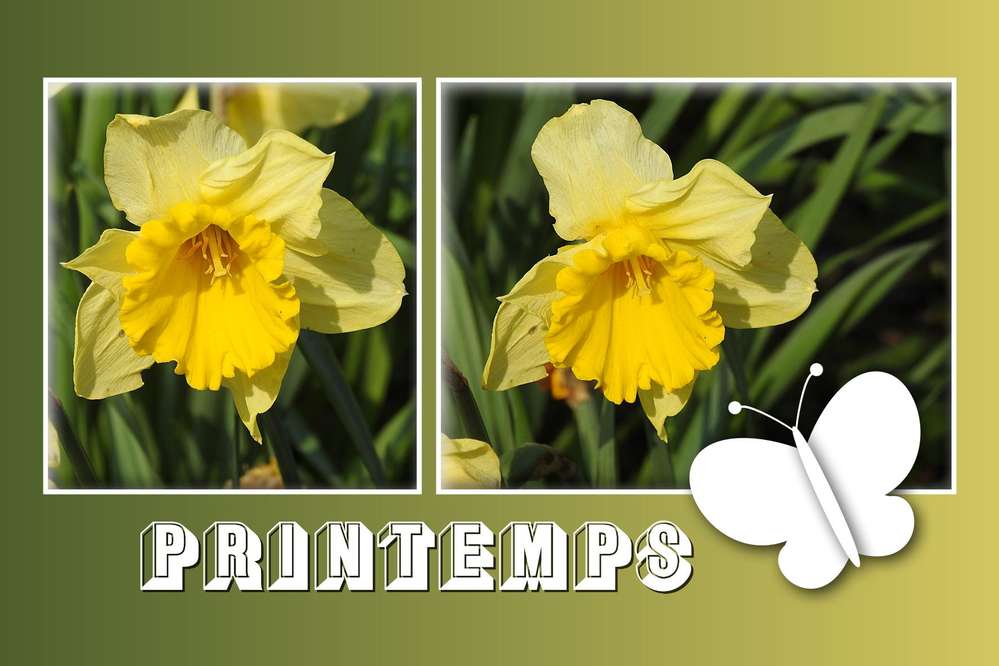 3-CHALLENGE PRINTEMPS - PRINTEMPS