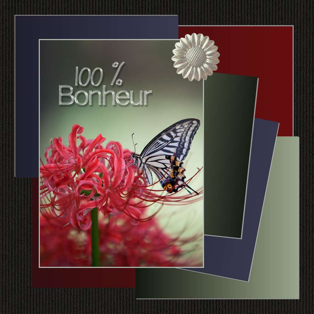 3-DEFI CDIP - INSPIRATION FLEURS