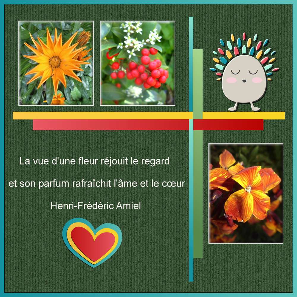 3-DEFI CDIP - INSPIRATION GEOMETRIE