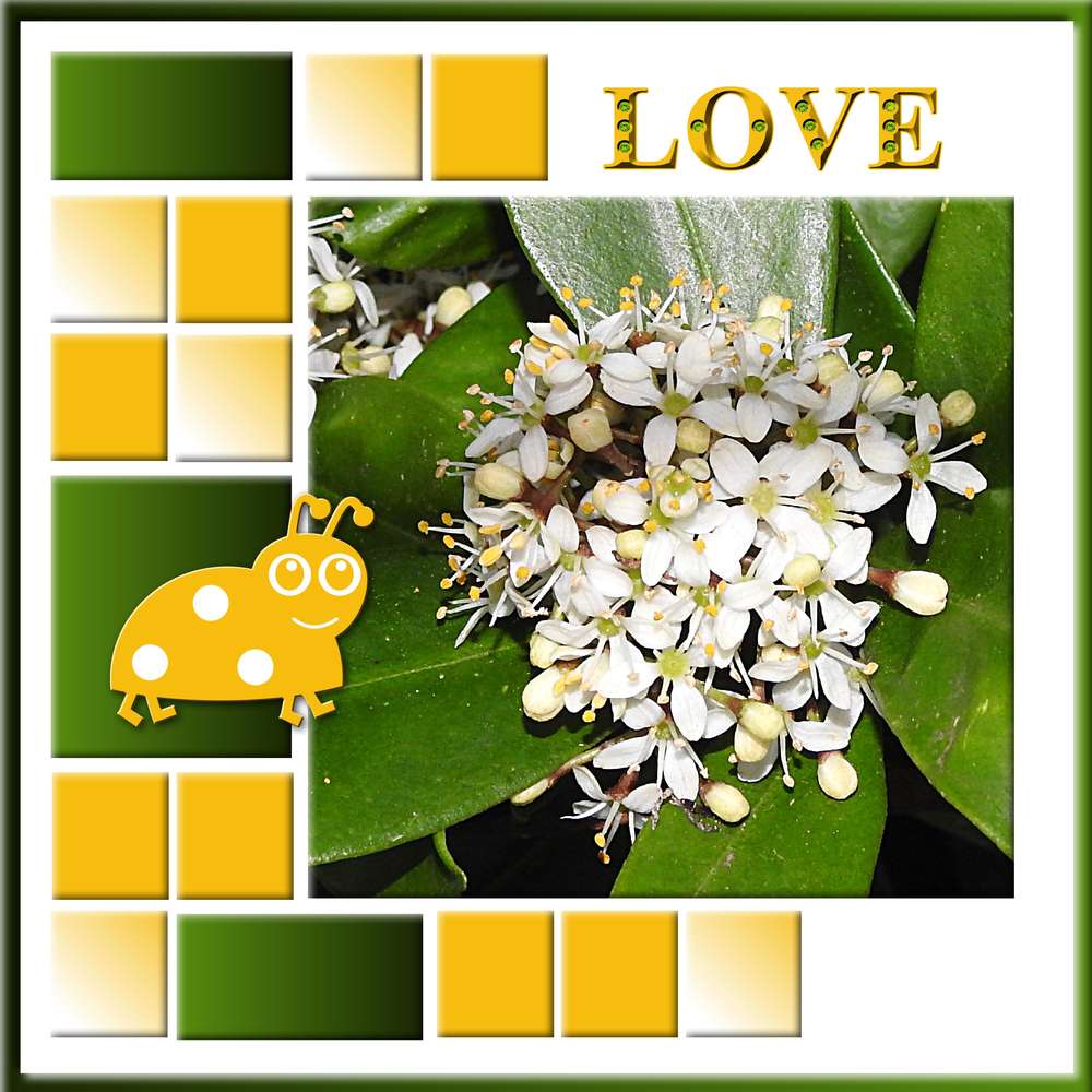 3-FLEUR(S) DE PRINTEMPS - MERCREDI 1ER AVRIL 2020