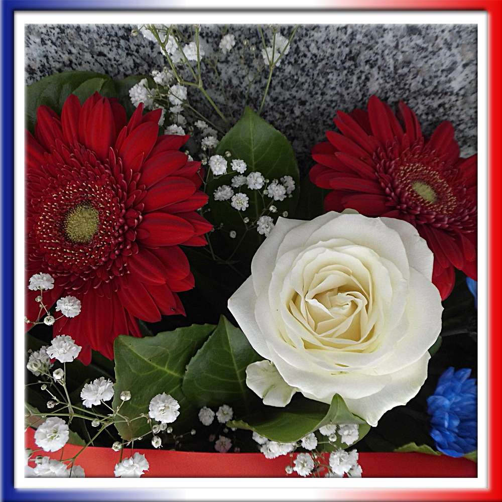 3-HOMMAGE - 11 NOVEMBRE 1918 UN ARMISTICE MET FIN A LA GRANDE GUERRE