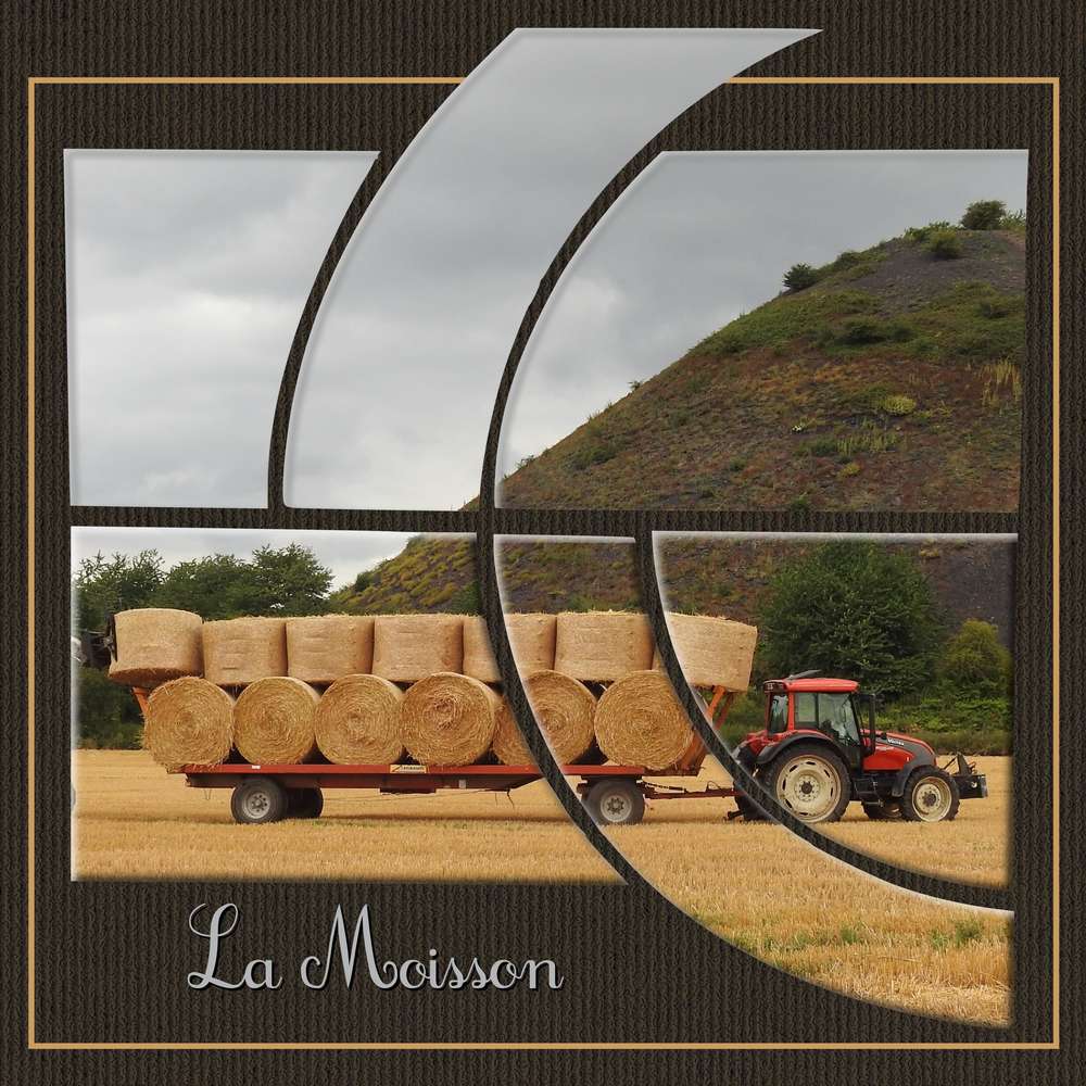 3 - LA MOISSON