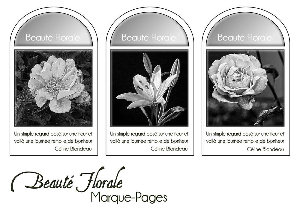 3-MARQUE-PAGES - BEAUTE FLORALE
