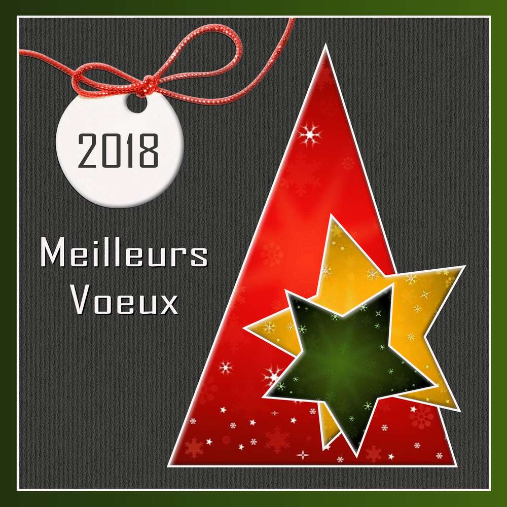 3-MEILLEURS VOEUX 2018