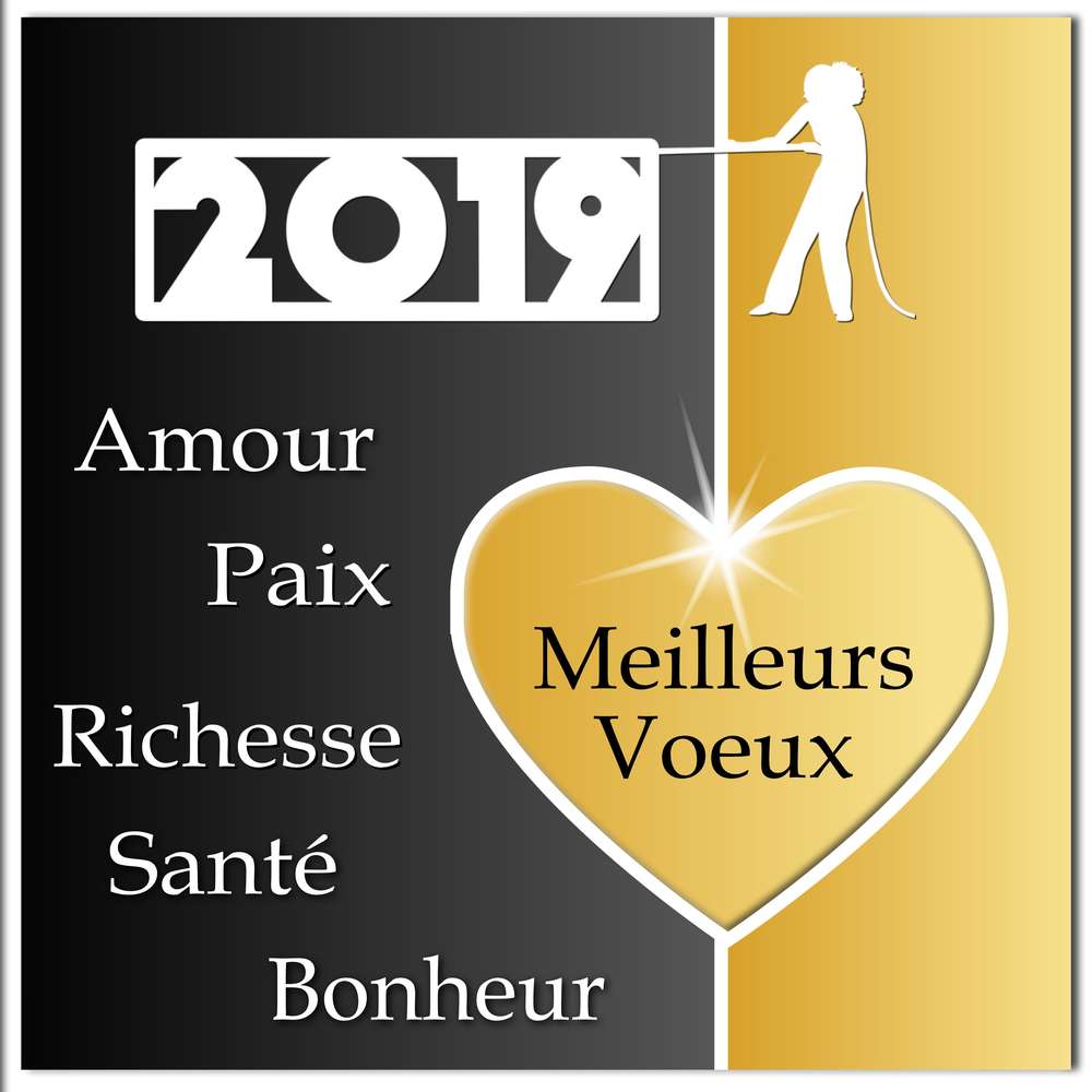 3-MEILLEURS VOEUX 2019