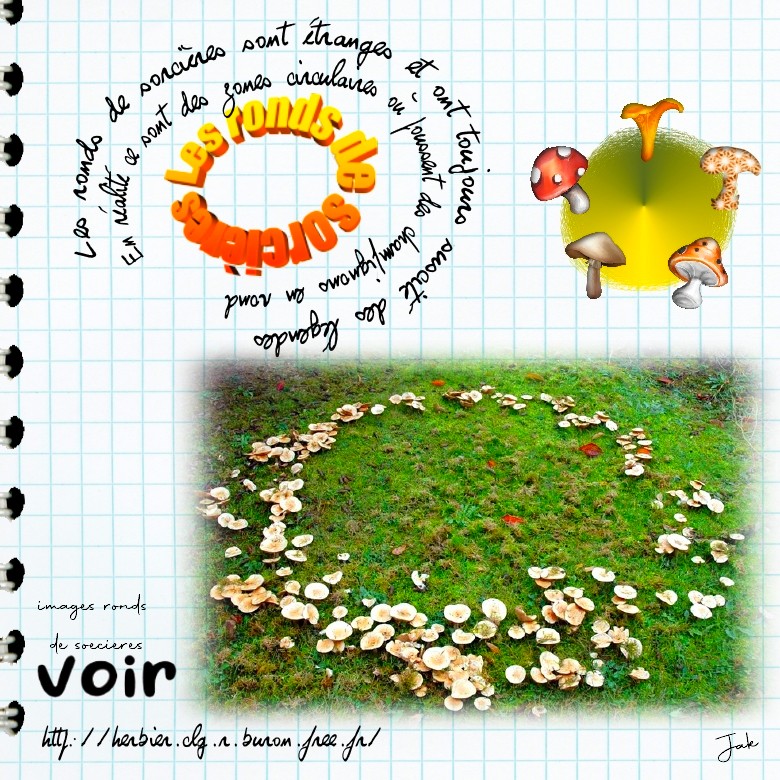 3 octobre cercle les ronds de sorcieres.jpg