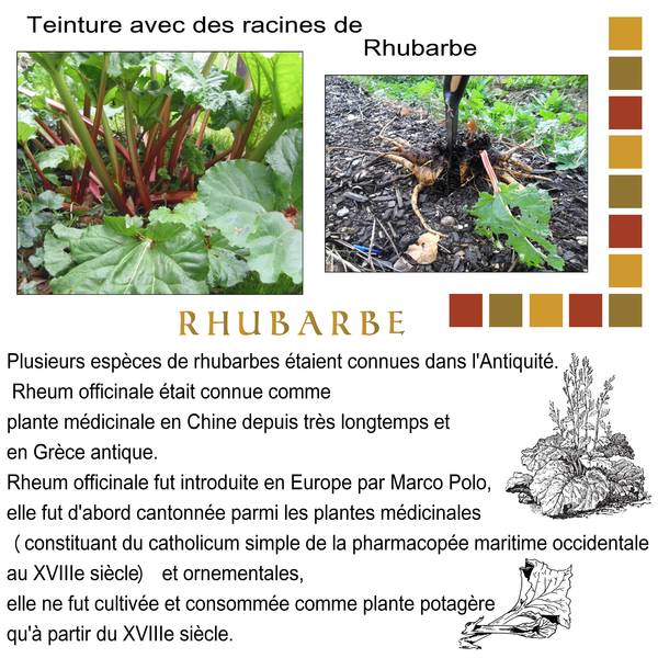 3-PLANTES COLORANTES-TEINTURES VEGETALES