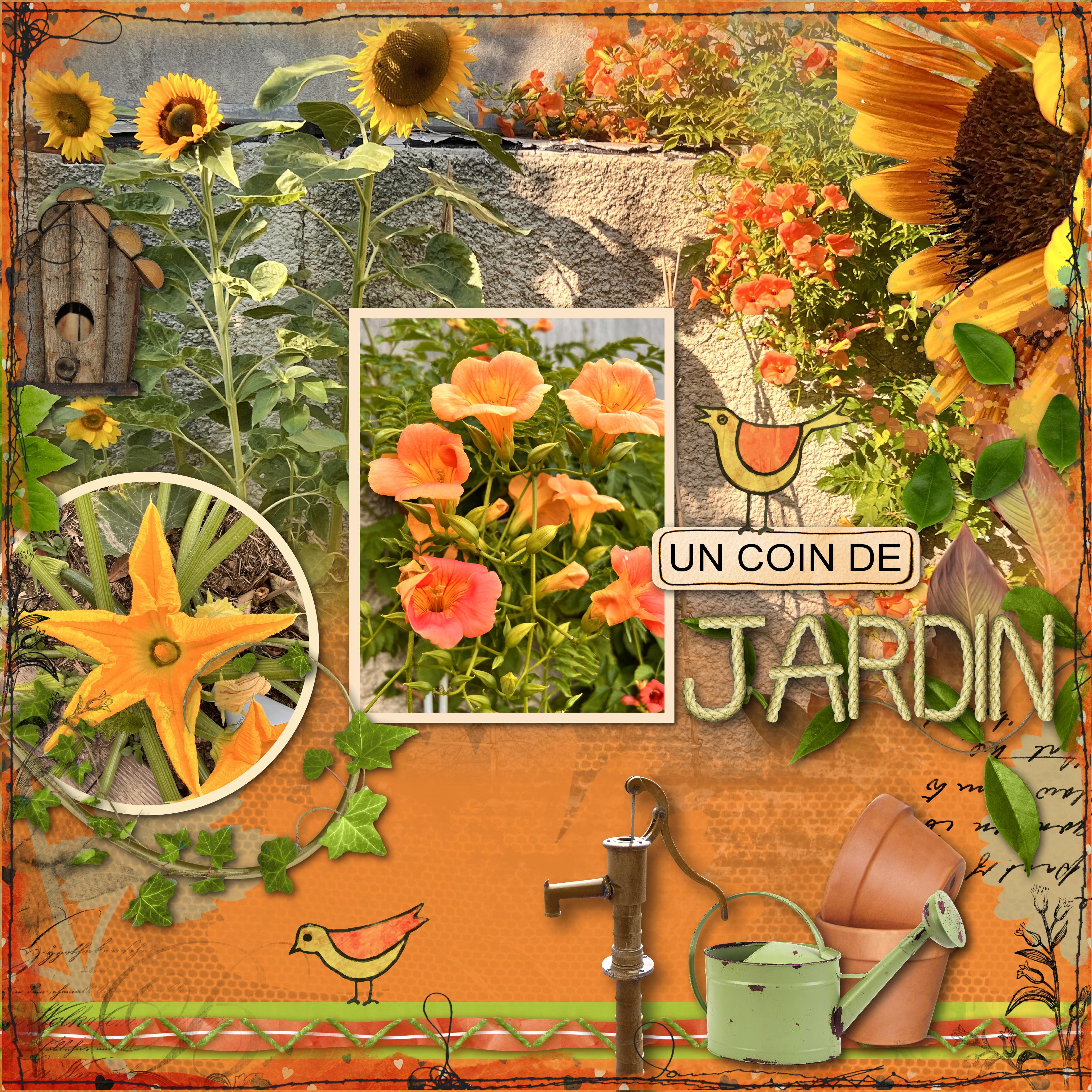 3-plantes.jpg