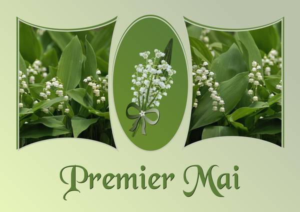 3-PREMIER MAI