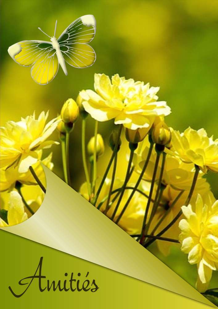 3-REALISATION - AMITIES