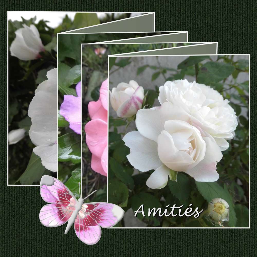 3-REALISATION - AMITIES