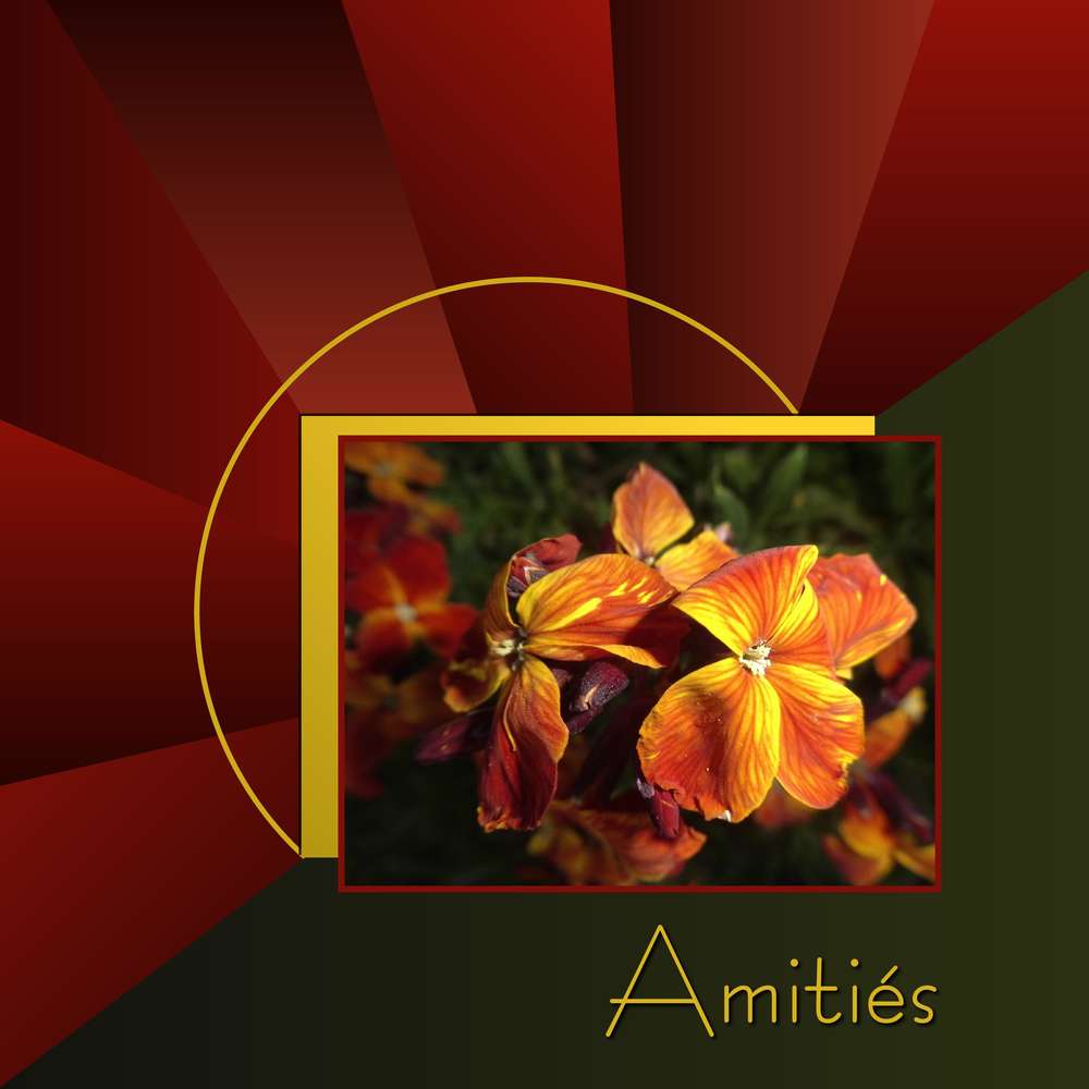 3-REALISATION - AMITIES