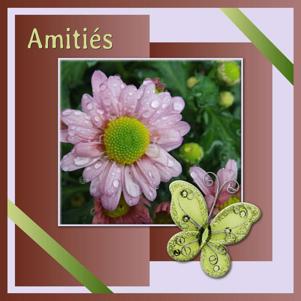 3-REALISATION - AMITIES