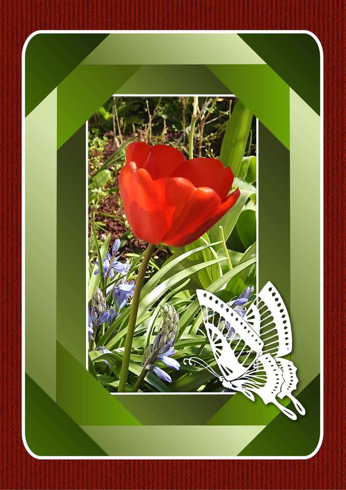 3-REALISATION - BEAUTE PRINTANIERE